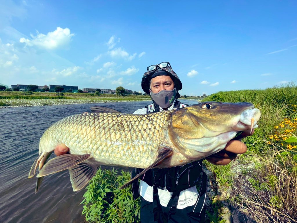 怪魚ハンター山根ブラザーズ 公式 Yamane Brothers Twitter