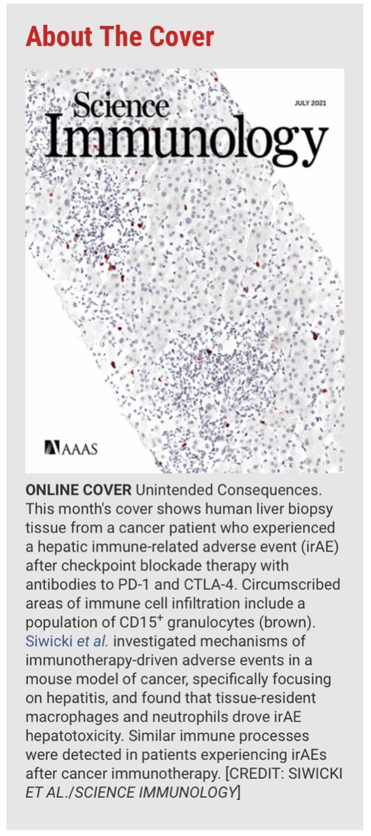 The Pittet Lab (@pittetlab) on Twitter photo 21/ Finally, thanks to Dan Erkes @antidanimmunity and <a href="/SciImmunology/">Science Immunology</a> for your interest in this work. Working with you has truly been a great experience! 21/ Finally, thanks to Dan Erkes @antidanimmunity and <a href="/SciImmunology/">Science Immunology</a> for your interest in this work. Working with you has truly been a great experience!