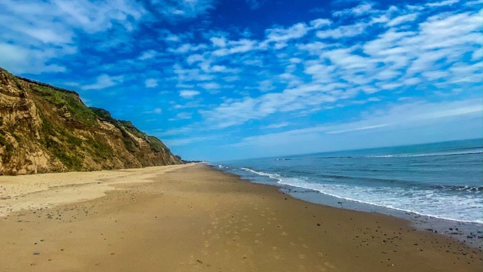 How fabulous does Kilmuckridge beach look🤩  Such a beautiful blank canvas for a leisurely Sunday walk!

Tag someone you'd like to take a stroll on the beach with👫

📸 IG: wildprints

Plan your adventure at VisitWexford.ie 💜💛

#BestForFun #BestForSun #BestForTrails