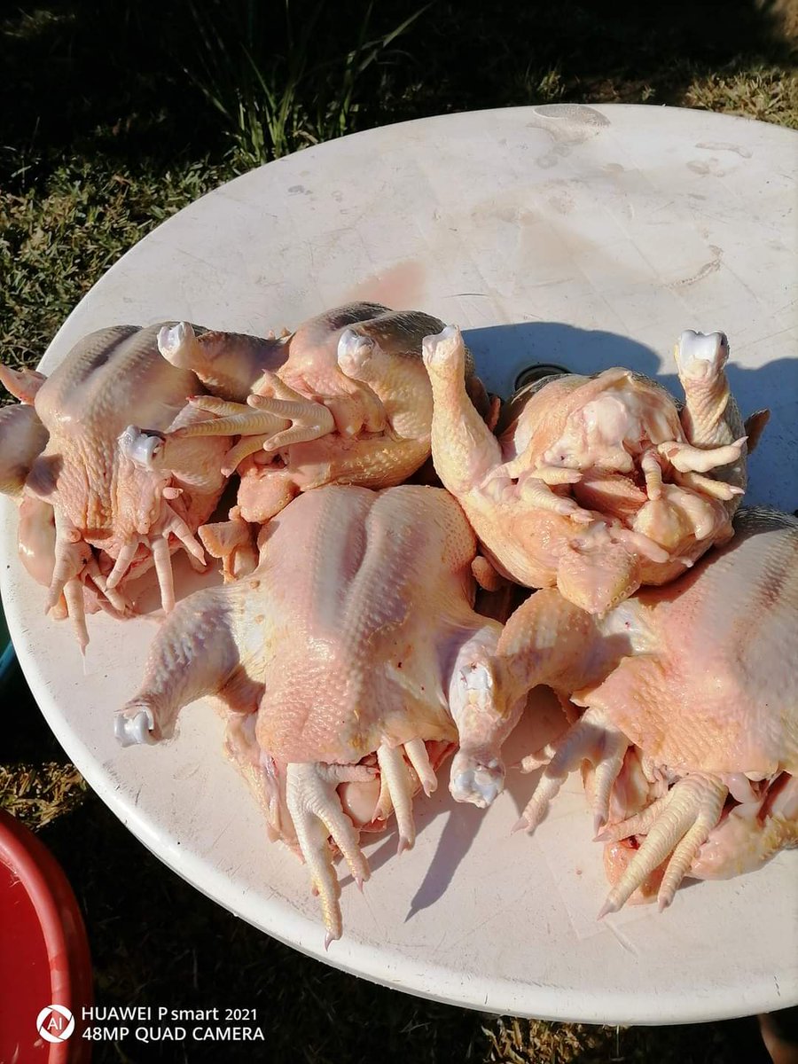 kutamatshianeo's tweet photo. Only R75 at venda itsani, vha songo lala na ndala khuhu dzo vula, delivery starts from 5 upwards https://t.co/FV1hvNhqtb