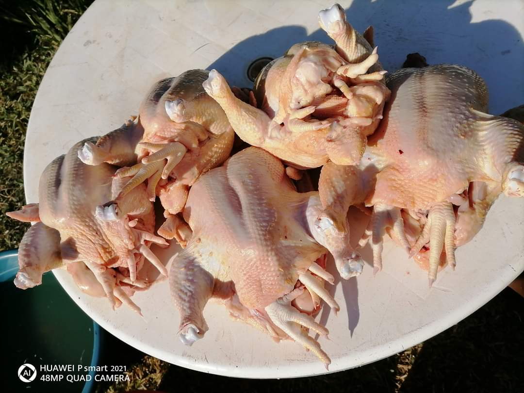 kutamatshianeo's tweet photo. Only R75 at venda itsani, vha songo lala na ndala khuhu dzo vula, delivery starts from 5 upwards https://t.co/FV1hvNhqtb