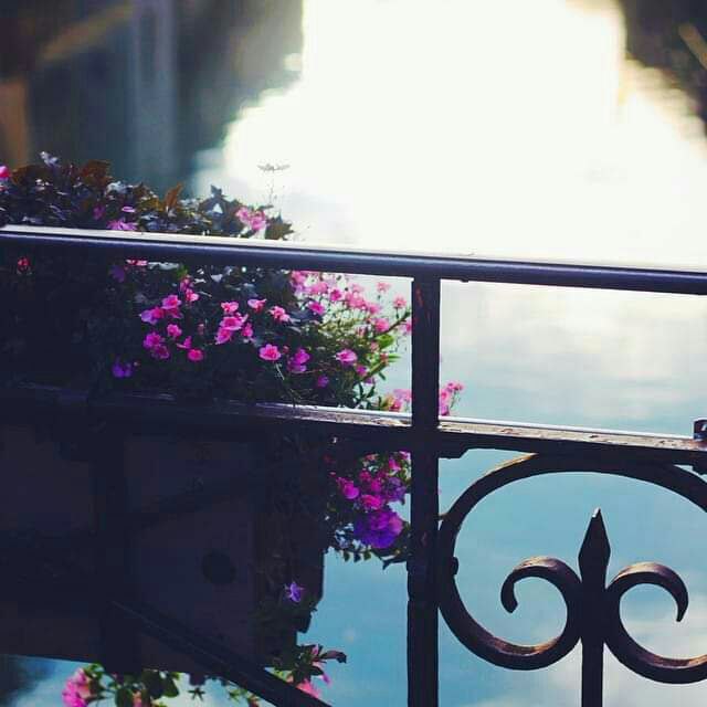 osamazayan4's tweet photo. °°

النِسيآن لِيس هو إلا جُرعآت مُسكِنه للألآم ، وليس له القَدره على إنهآئُها للأبد .. فَقط سَتخمد لفَتره ما حَتى تأتي الذِكريات لِتوقض أوجآعُنى ، وسرعان مآتبطل مفعول تِلك الجُرعآت ..

---------
🥀🖤 https://t.co/X0ZGtF2abp