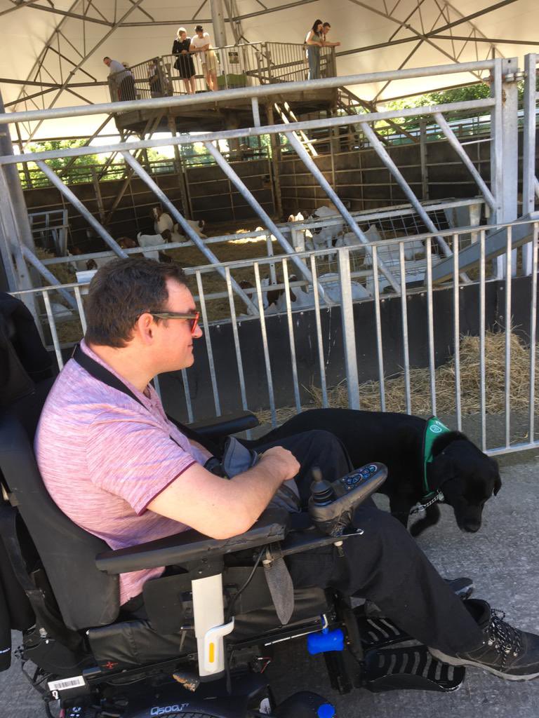 Square Pegs Activity tweet media