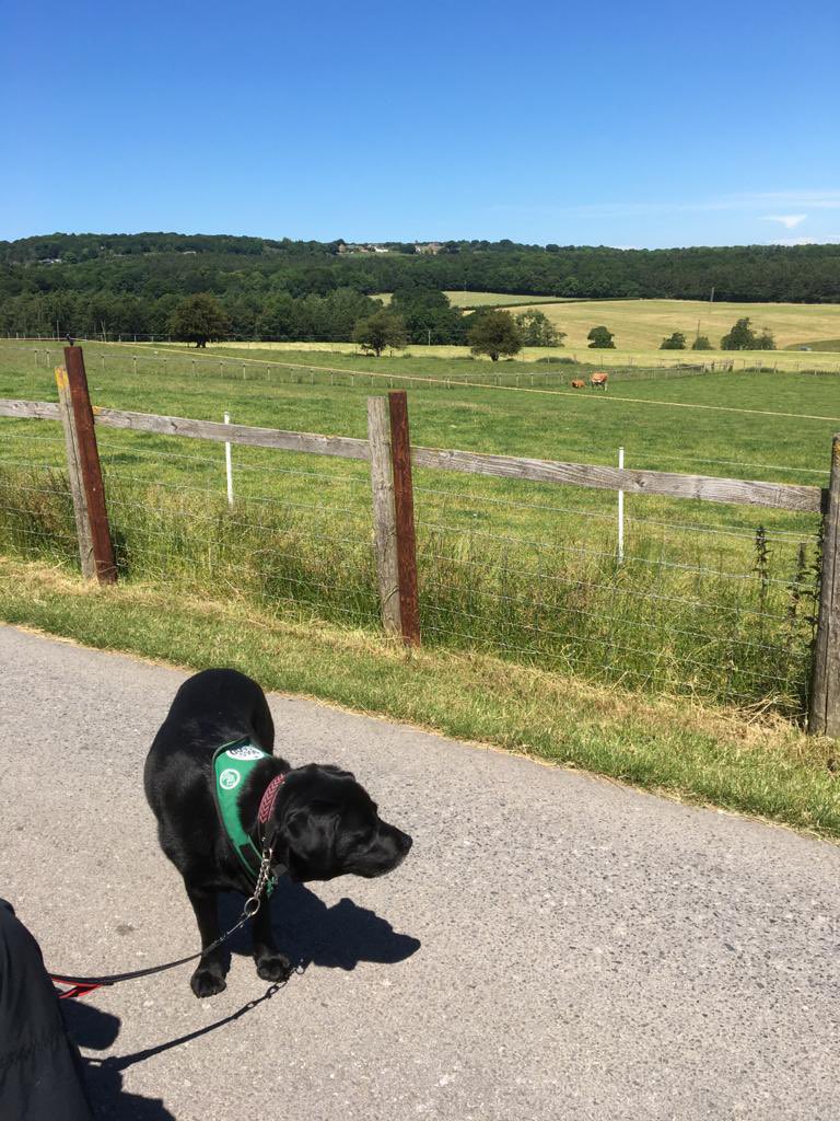 Square Pegs Activity tweet media