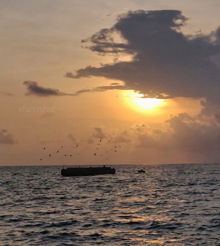 every sunset brings a promise of a new dawn. #sunset #island #sky #birds