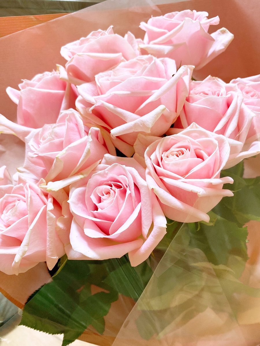 fraise_0513's tweet photo. バラもらった🌹
2週間くらい遅い。🥺 https://t.co/8033xaSzbx