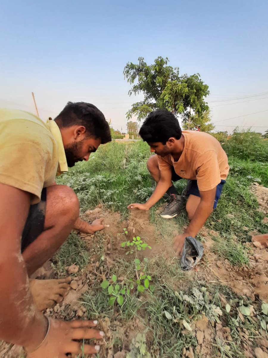 GryllsMaitreya's tweet photo. #Drive4 of my #plantation in Punjab region (Kharar๐) #plantalife
Everyday our #Planet is burning, we need to take this as a #ClimateEmergency and contribute our #Actions towards a better #future
#ClimateActionNow
#ClimateCrisis
#ClimateAction
@GretaThunberg https://t.co/tkWbuKd1mW