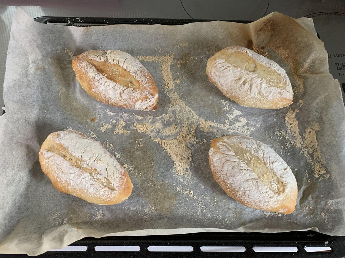 「焼きたてのフランスパンが食いてえなあ」とボヤいていたら、母に「パンがなければ焼けばいいじゃない」と言われて強力粉とドライイーストを渡されたので、フランスパン(プチフランス)を作りました。 