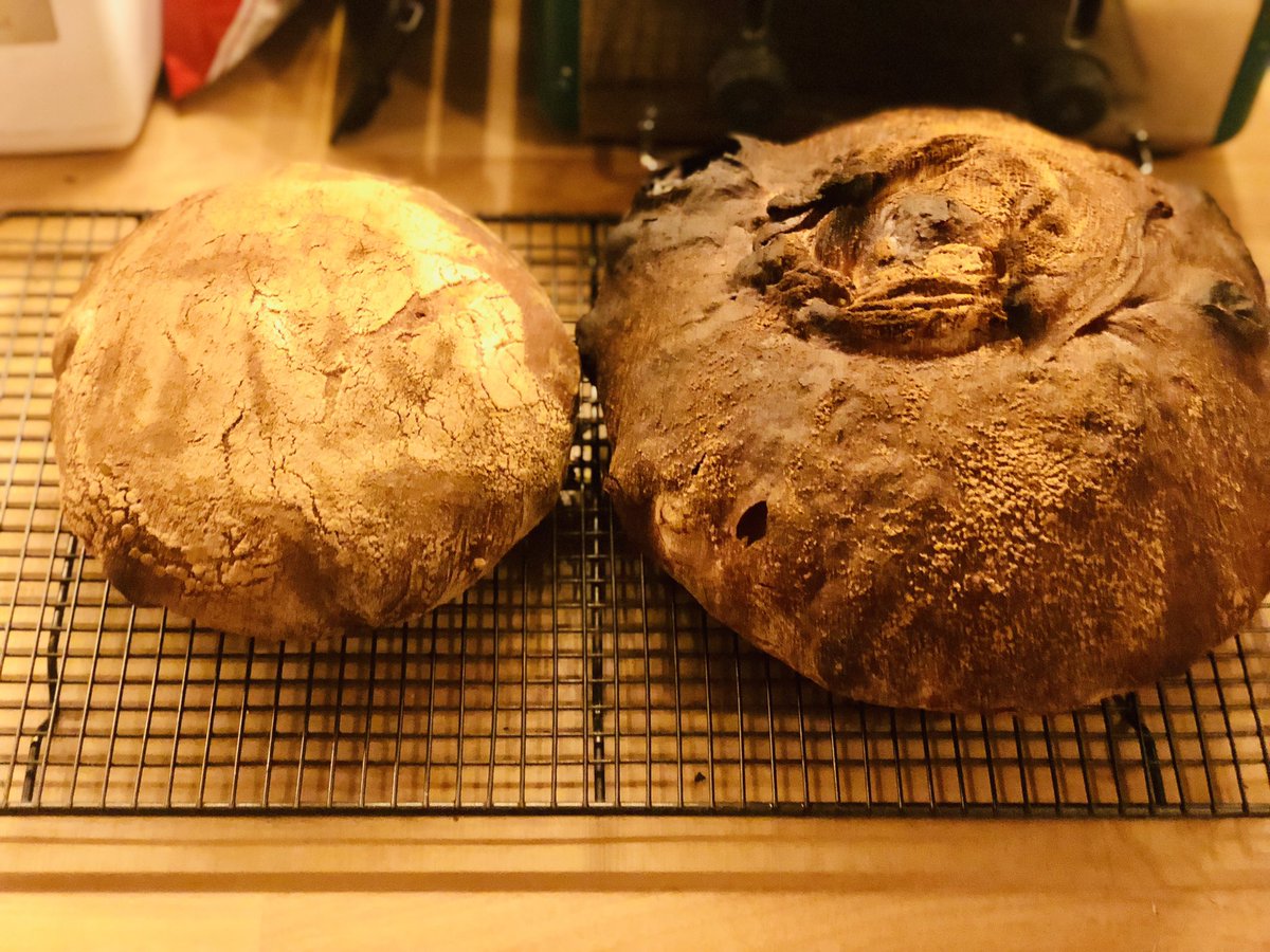 mattfromconsett's tweet photo. I give up. These are MEANT to be identical, but why does the one on the right look so angry…?! #misshapenboules #worldsshitestbaker #angrybread https://t.co/WUnR9V2Imn