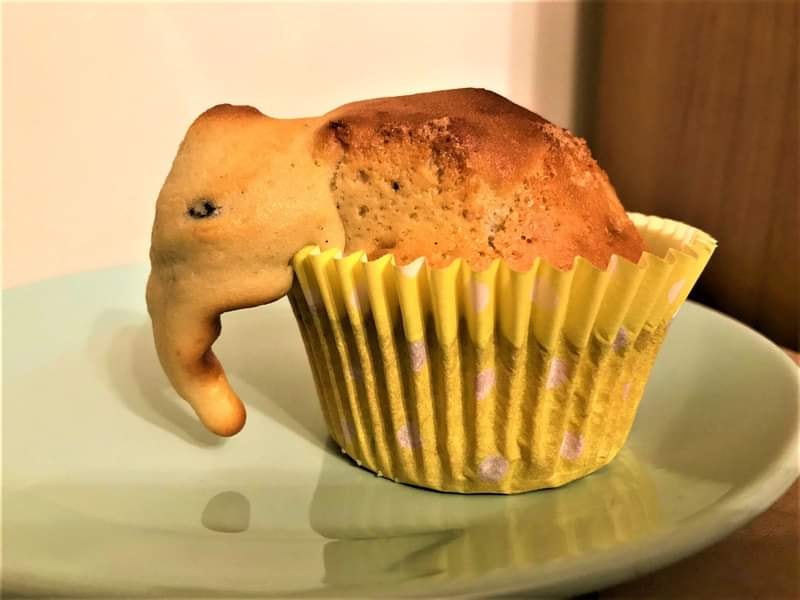 When a muffin explodes and becomes an elephant.