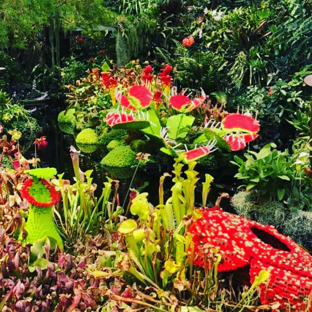 Happy 4th of July! 🌟🇺🇸🌟
So beautiful &amp; peaceful! 🌿🍀☘🍃
Simple pleasures of life! 💚

Nothing can dim the light that shines within! 🌟🌟🌟

#sundaymood☀️ 
#singaporelove 
#gardensbythebay 
#sharingsundays 
#taratravelmakesdreams 
#happy4thofjuly 
#simplepleasuresoflife