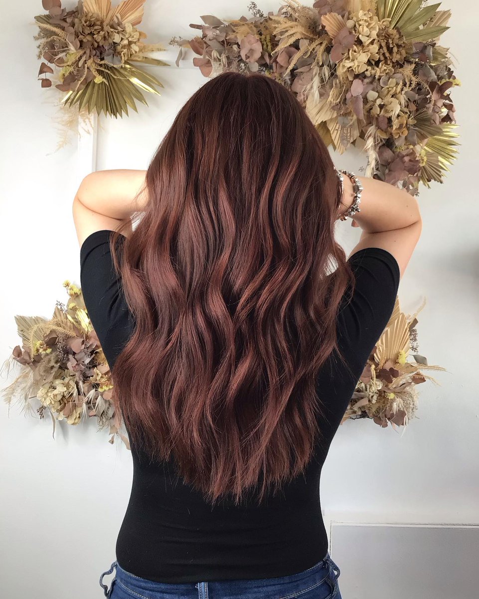 Glasshouse_Hair's tweet photo. Auburn vibes with Karolina πβ€οΈπ± hair by Harriet using @davinesofficial colour! β’
#auburn #auburnhair #davines #davinesuk #davinescolor #glasshouse #theglasshoussecosalon #bristol #bristolhairdresser #hair #hairdresser #fresh #goodsalonguide #salonconcepts https://t.co/GFQbTnavcx