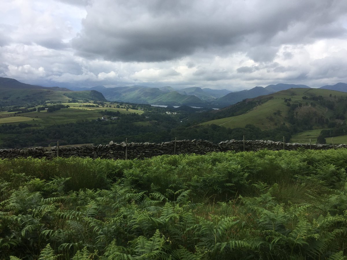 Tim Foster tweet media