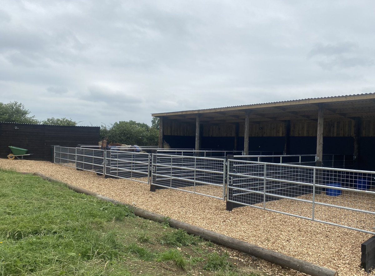 Klmorgan15's tweet photo. The yard is finished and the first few horses have come in. Thank you to everyone that has helped make this happen, dreams really do come true 🤩 #kmracing #pretraining #happyhorses #newyard #naturalliving #Ventilation #airflow #home https://t.co/XTpTP4l5ao
