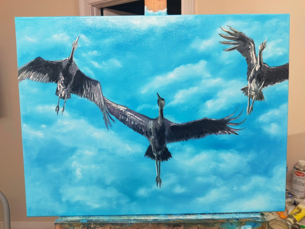 jason_parodi's tweet photo. I wanted to explore and capture the motion of birds in flight. I love when these guys show up in Florida each year. Sandhill cranes in flight work in progress.
#workinprogress #florida #floridaartist #art #ArtistOnTwitter #oilpainting  #colorful #bright #bird #commissionsopen https://t.co/UCidYGZ6OR