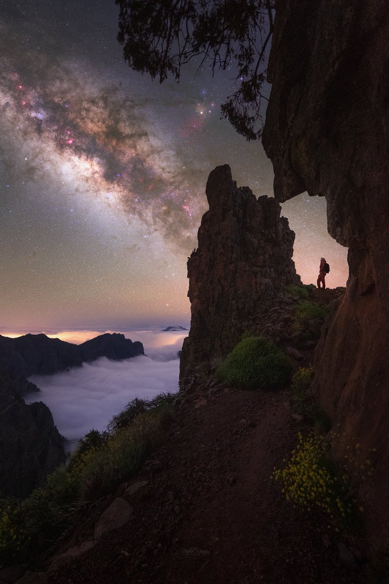 Julio Maiz tweet media