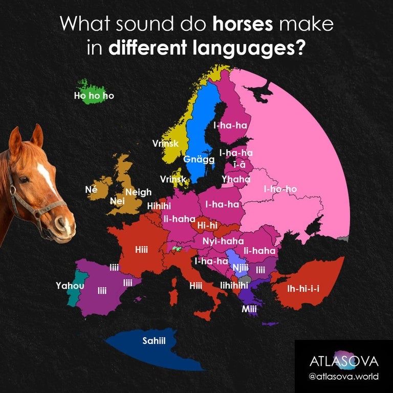 simongerman600's tweet photo. What does a horse say? Portuguese horses sound like search engines, Icelandic ones sound like Santa, Swedish horses just sound weird. Source: https://t.co/nipUNE6l7x https://t.co/vmQUpzuOyz