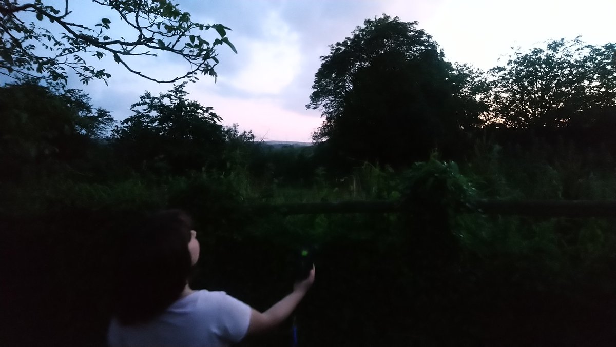 battybirder's tweet photo. Big advantage of being on holiday & 'down south' - accessible(ish!) dusk for the 7yo! Not sure she fully appreciated the subtle differences between soprano and bandit #pipistrelles on the #heterodyne but enjoyed hearing her 1st #serotine ๐
#StartThemYoung #batwatching #lovebats https://t.co/BYoLEJfV37