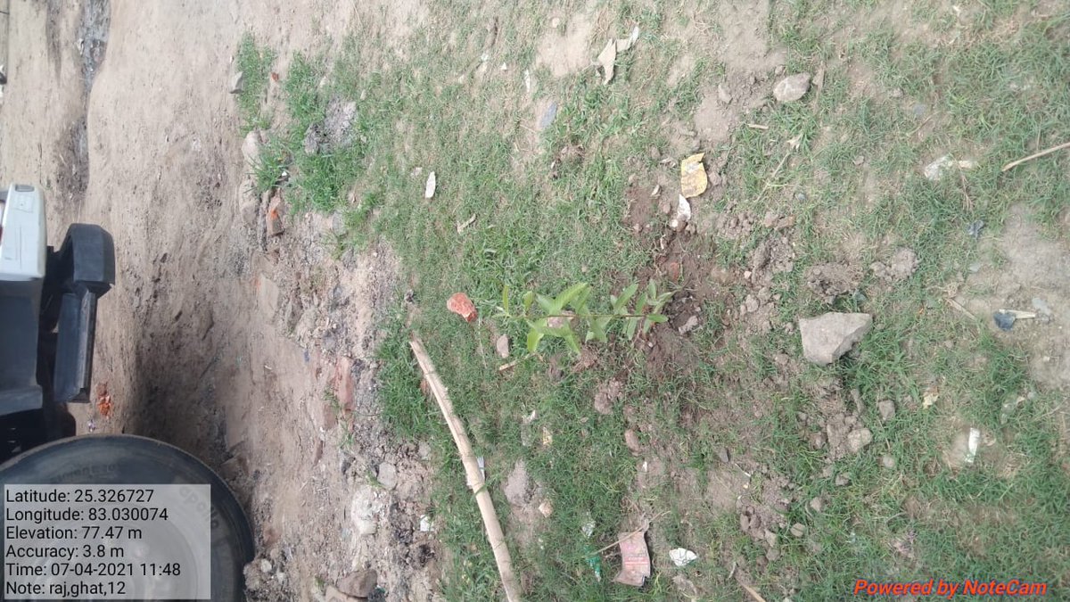 वृक्षारोपण अभियान के क्रम में आज महाप्रबंधक महोदय द्वारा भेलूपुर परिसर में  वृक्षारोपण किया गया।