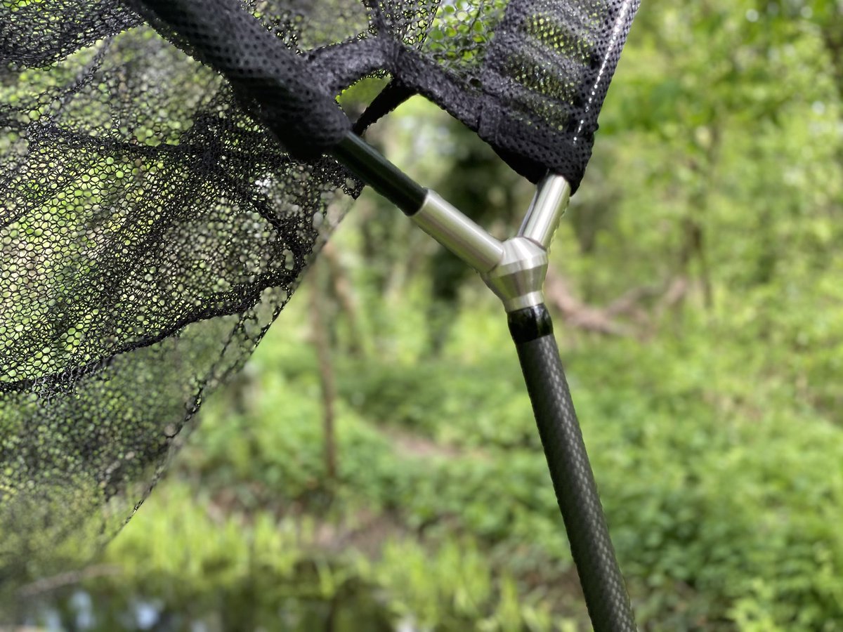 Carp nut tweet media