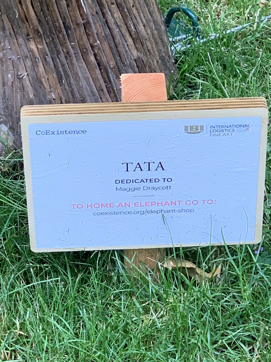 Great scenes in Berkeley Square this morning. <a href="/CoExistence_UK/">CoExistence.Story</a>