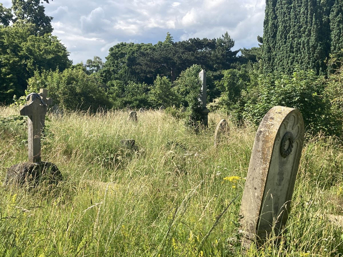 Timothy Gowers @wtgowers tweet media