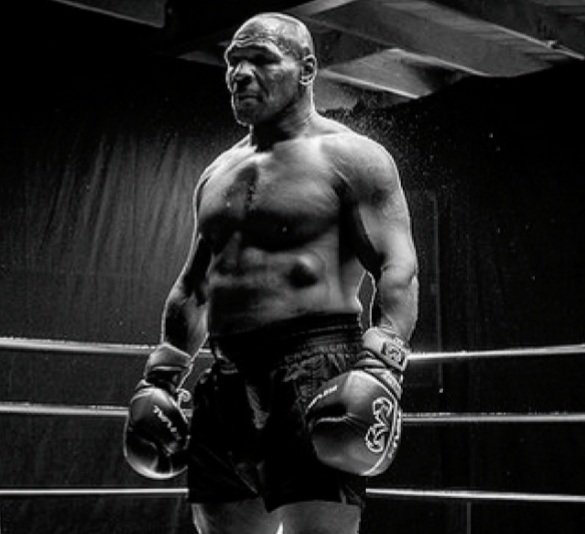 OnieIsNotFast's tweet image. 🥊🥊