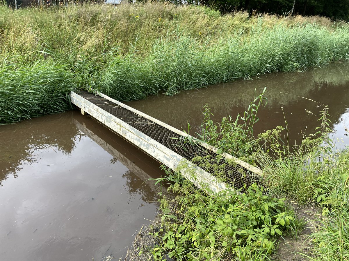 MartijnKegler's tweet photo. Hoogwater in juli 🌨
#Bijloop #Breda #Princenhage https://t.co/XiBMQx6BoG
