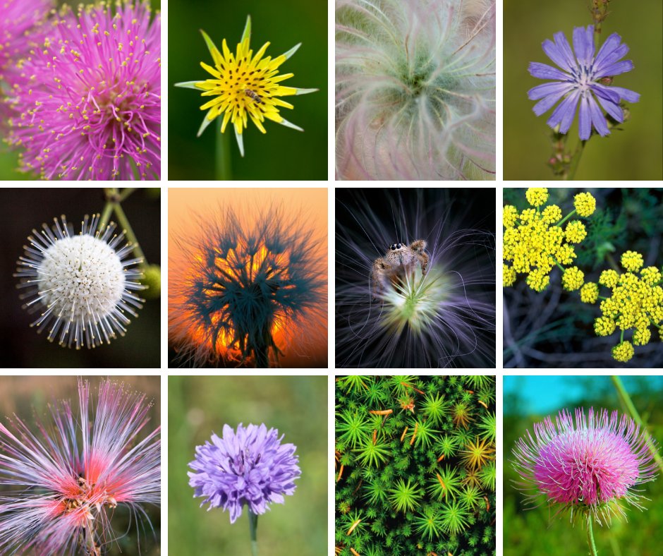 nature_org's tweet photo. Fireworks have nothing on Mother Nature, who puts on a show all her own. ✨

To all those who observe, we wish you a safe and happy #July4th! https://t.co/GS4JgoHTwC