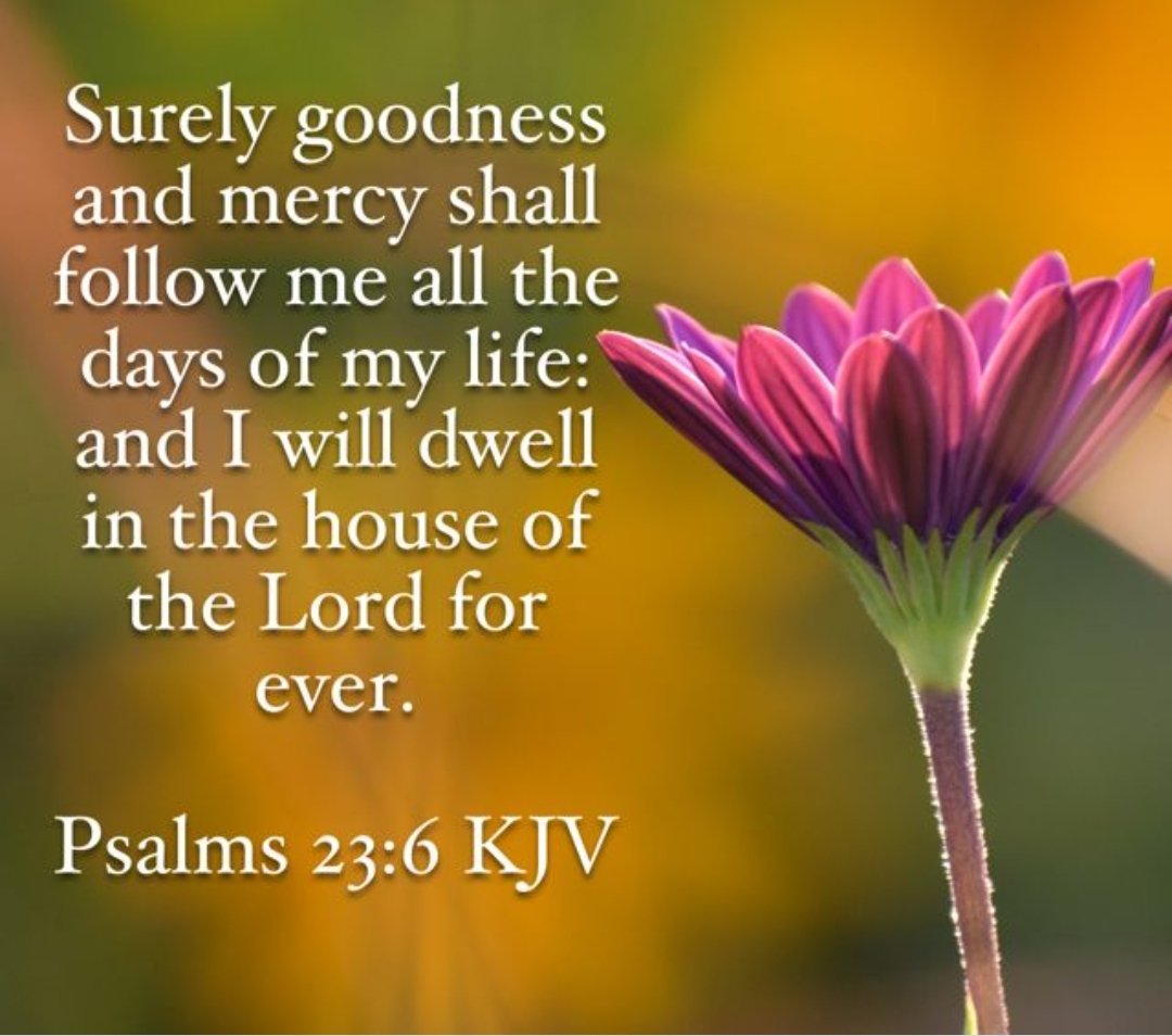 thinmanx11's tweet image. We are sending 🙏🏾⬆️ to @karlamcginnista ....One of your angels is home with the LORD smiling down.

#MISSINGOLIVIA4EVER💞
#retrohoopsfam💙💛
#westsideconnection