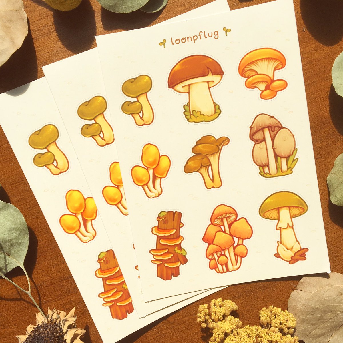 loonpflug's tweet photo. mushroom sticker sheets are coming to the shop soon! i’m aiming for my next update to be around 7/13 :^) ✨🌿 https://t.co/bWQQXrgcVu