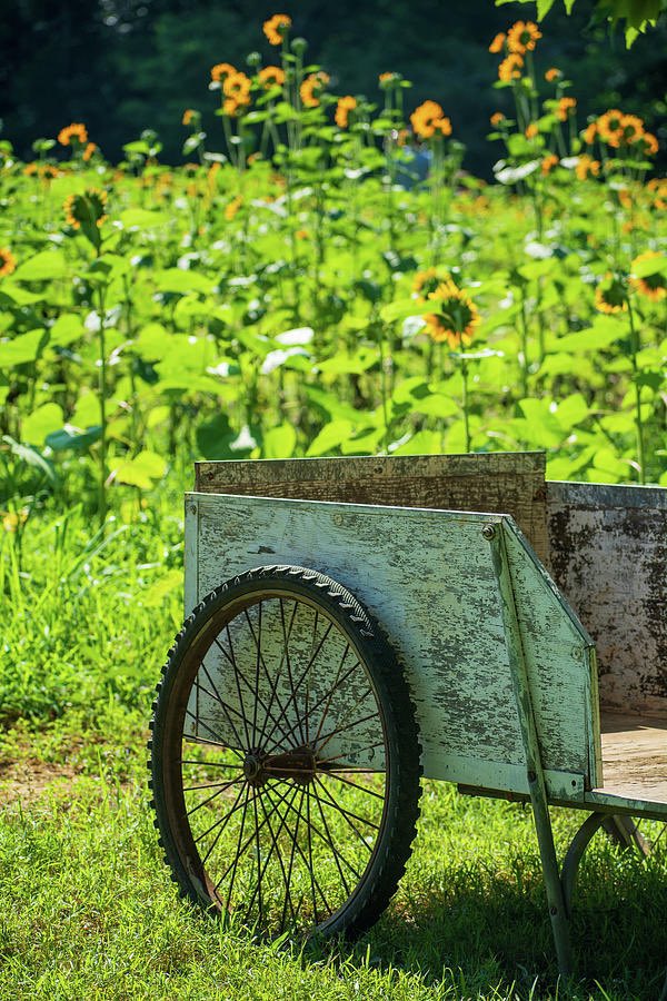 Artzy Dreams tweet media