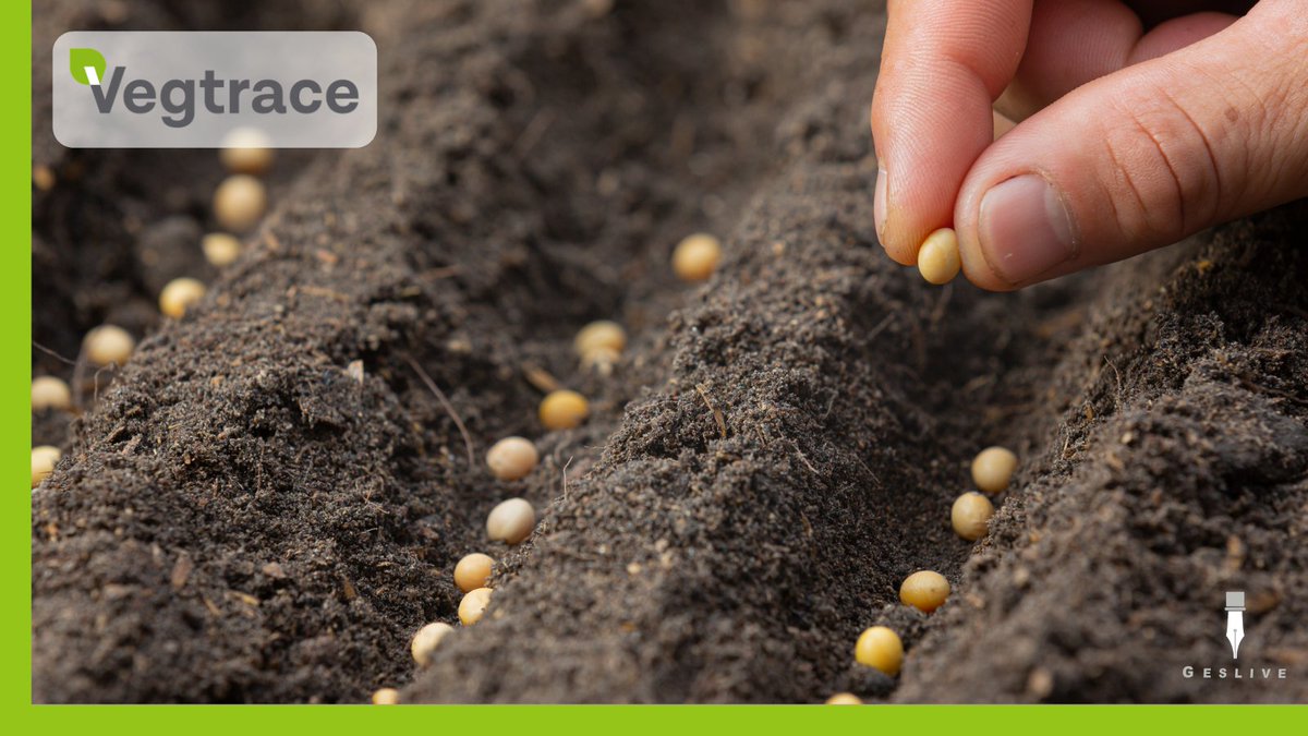 TraceVeg's tweet photo. #Vegtrace permite evidenciar el origen de la adquisición del material vegetal y facilita el poder demostrar a los clientes el origen de los productos para detectar cualquier anomalía de forma eficaz. 🌱
👉 https://t.co/oFZDOObAQg https://t.co/tTcfNmd3JB