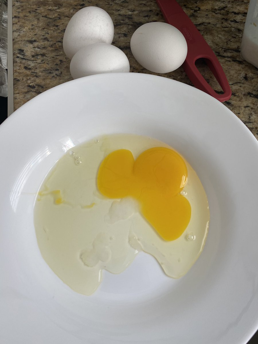 Estevão Oliveira| RT’s ACCOUNT ONLY 🔄 tweet media