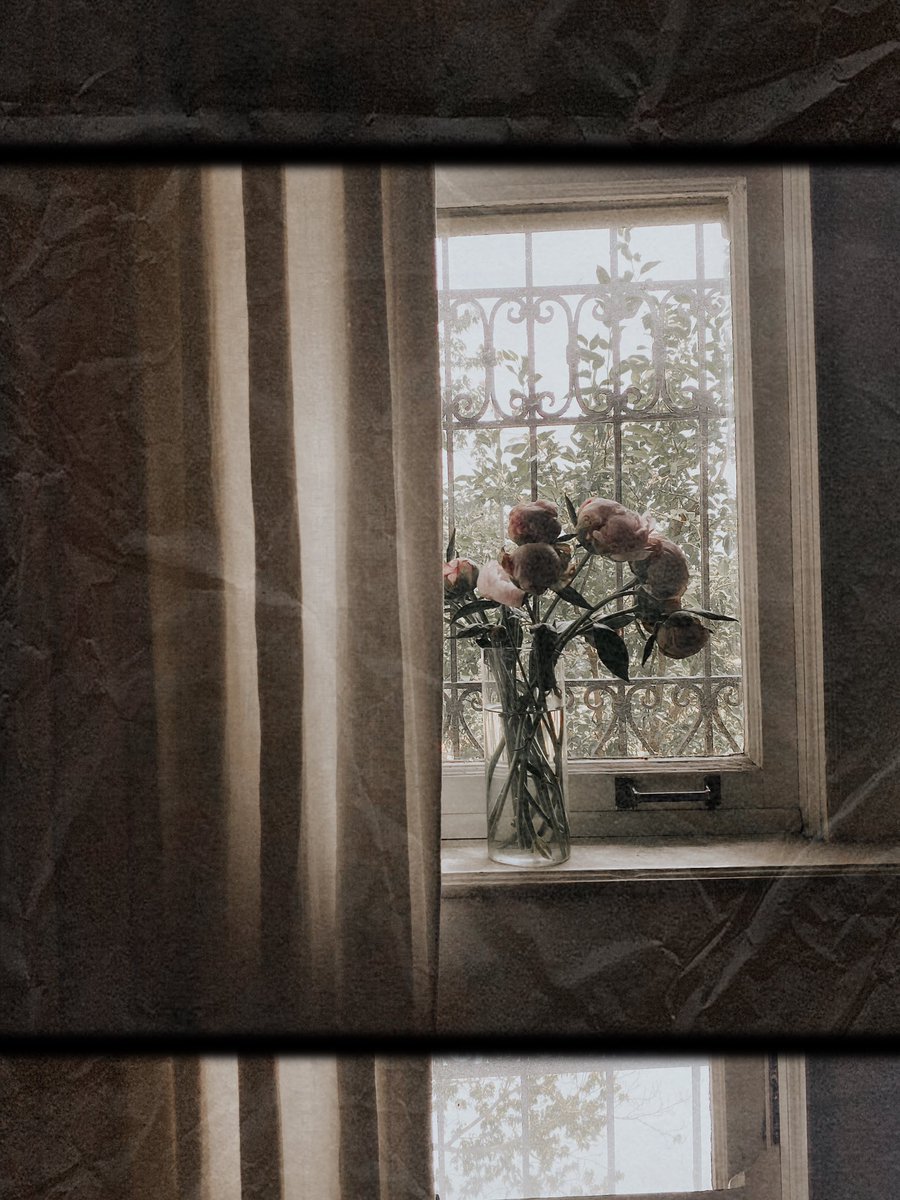 ElisaLupu's tweet image. #randomvibes
