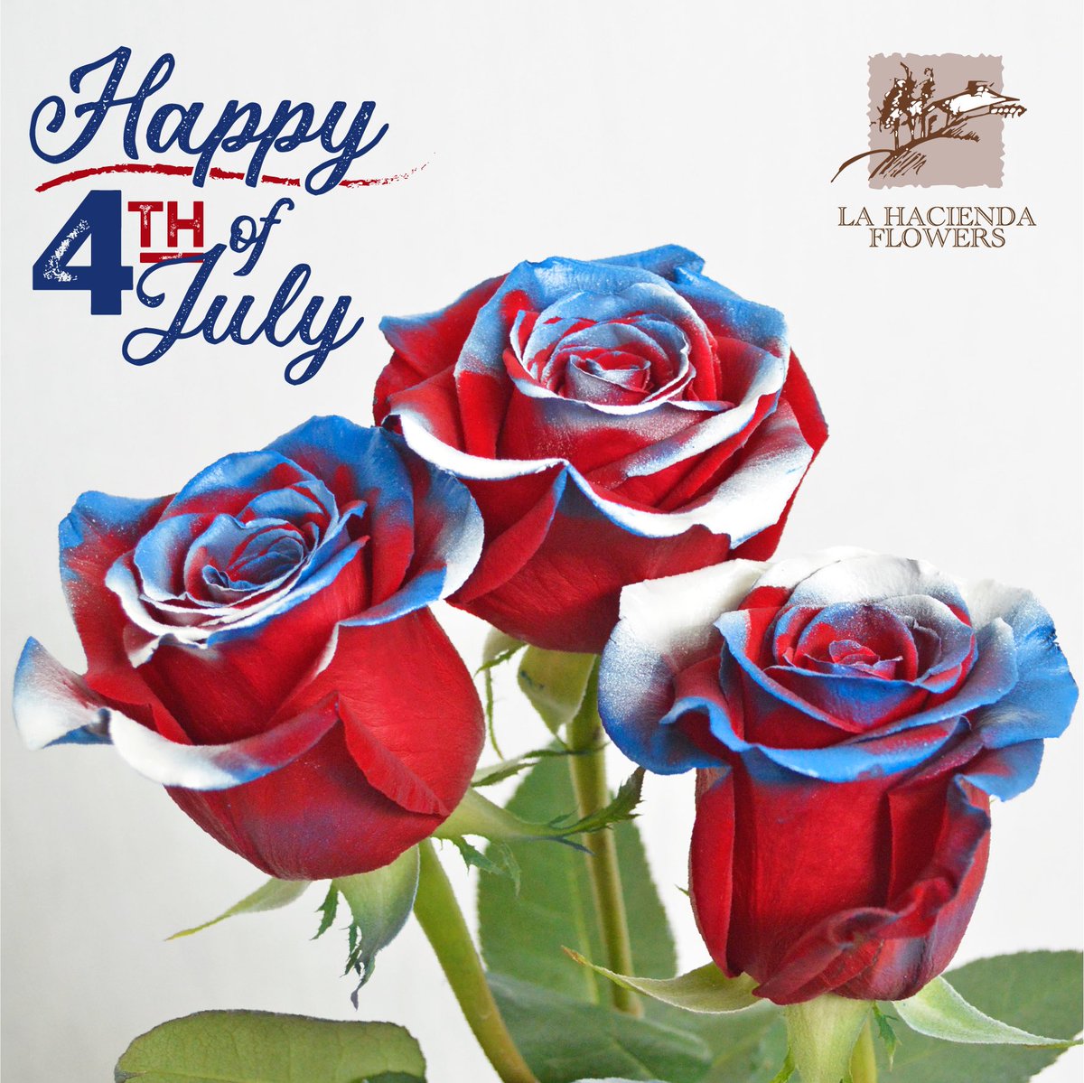 La Hacienda Flowers Lhflowers Twitter