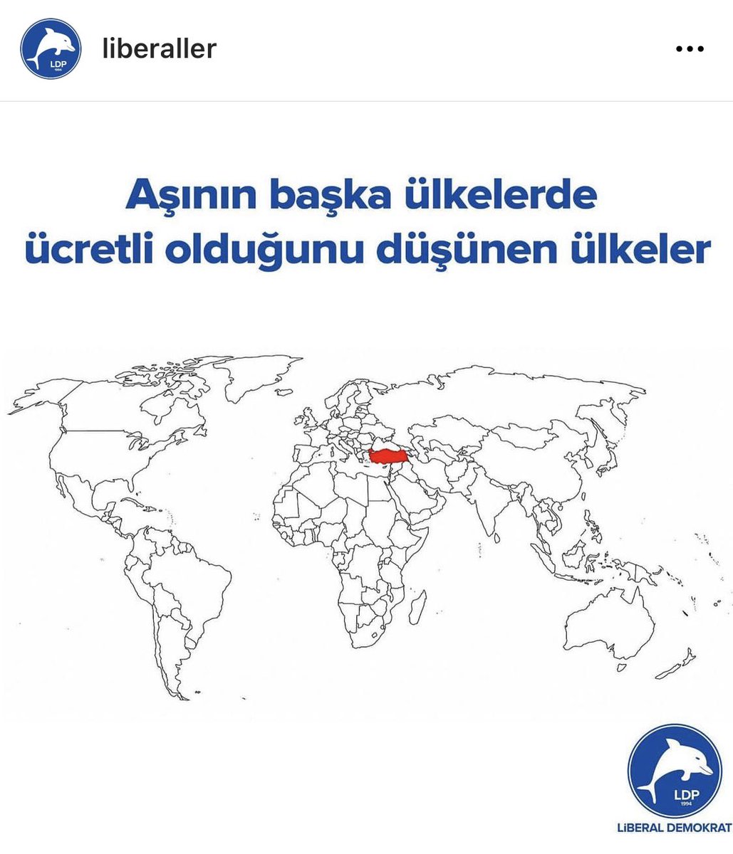 CEM TOKER🐬 (@tokcem) on Twitter photo 