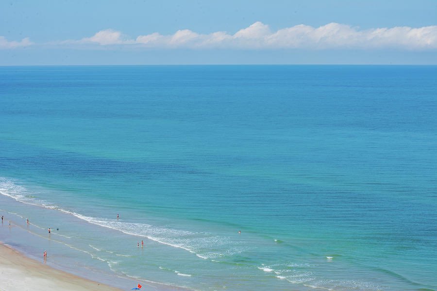 Artzy Dreams tweet media