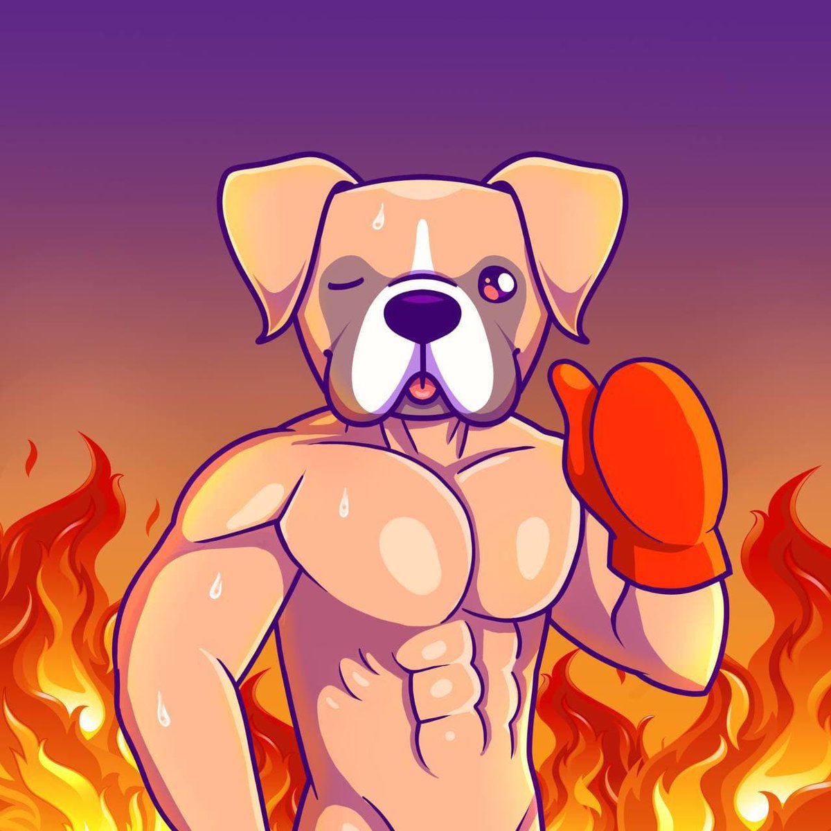Boxer Inu tweet media