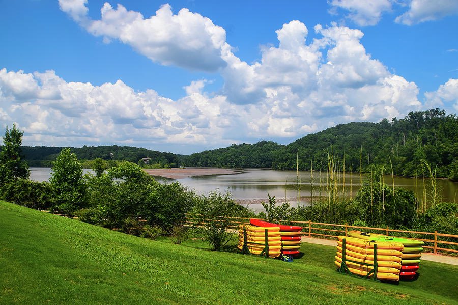 Artzy Dreams tweet media