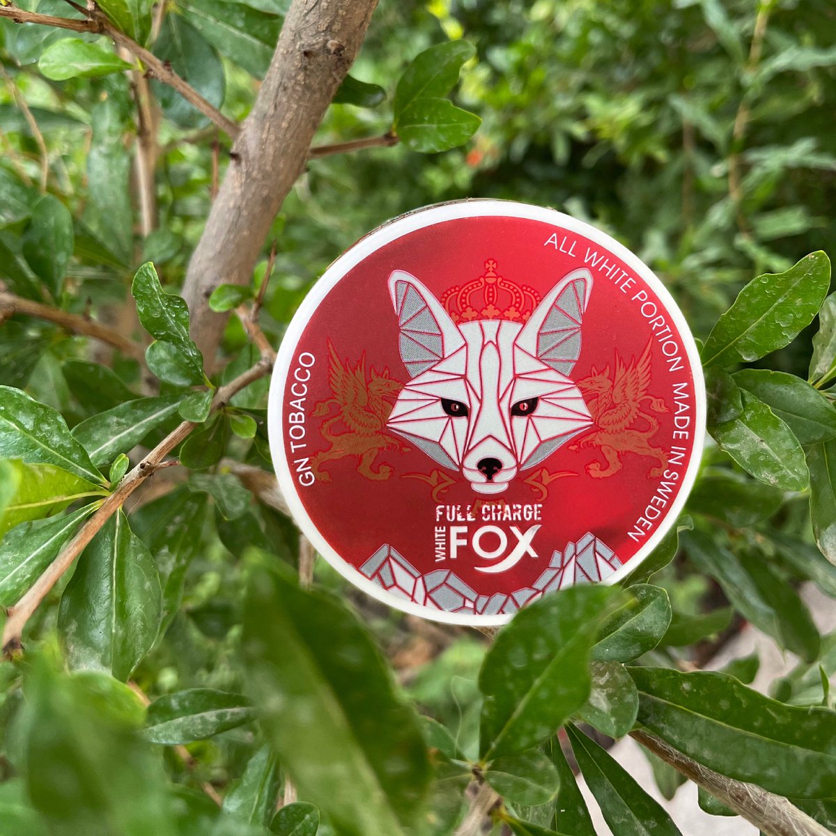 Your portion of full charge ❤️

#full #fullcharge #whitefox #whitefoxsweden #swedish #swe #Sweden #snus #nosmoking #smokless