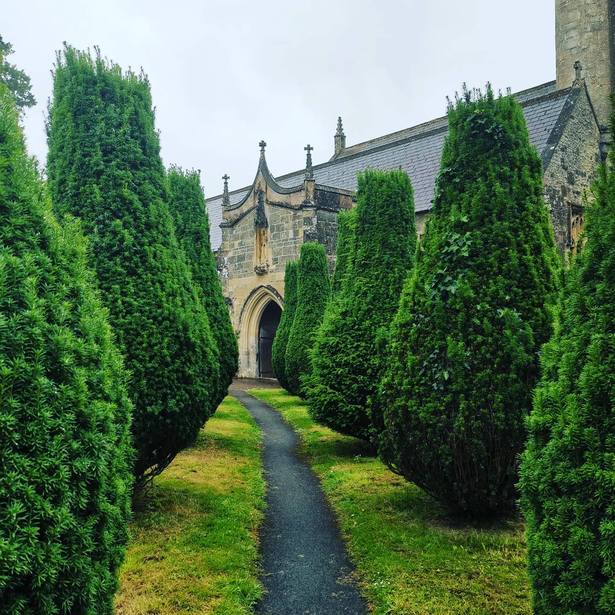 lazyperfection's tweet photo. A wet walk around Mere featuring churches, chapels and cows! #mere #visitmere #wiltshire #walking #exercise #sundaystroll #merechurch #churchyard #church #chapel #yew #lovewhereyoulive #cowsinthefield #cows @VisitWiltshire https://t.co/s99pTIkYdY