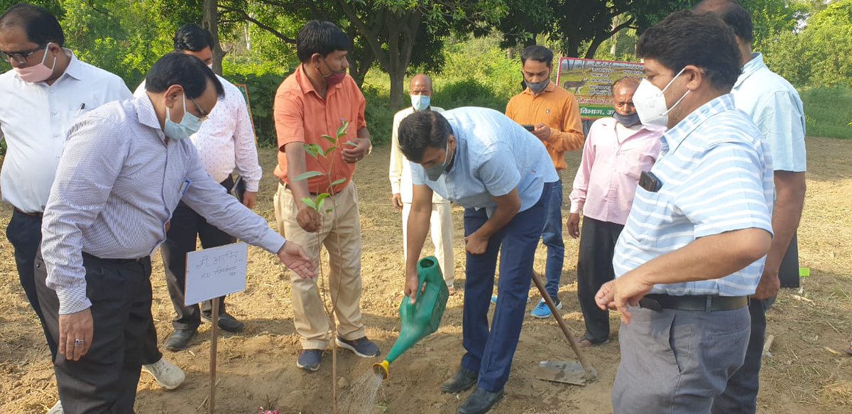 इह पुष्पिताः फलवन्तः च मानवान् तर्पयन्ति,वृक्षाः वृक्षदं पुत्रवत् परत्र च तारयन्ति। 
अर्थ–फलों और फूलों वाले वृक्ष मनुष्यों को तृप्त करते हैं। छाया देने वाले अर्थात् समाजहित में वृक्षारोपण करने वाले व्यक्ति का परलोक में तारण भी वृक्ष करते हैं।
मेरठ क्षेत्र में आज वृक्षारोपण किया