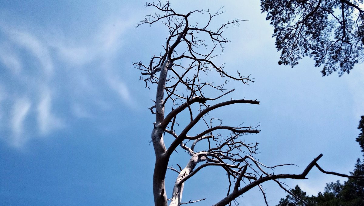 Jarosław tweet media