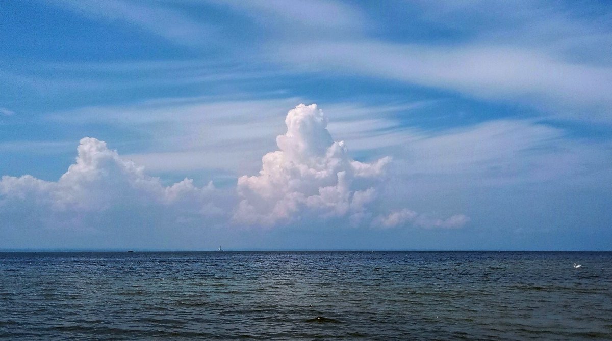 Jarosław tweet media