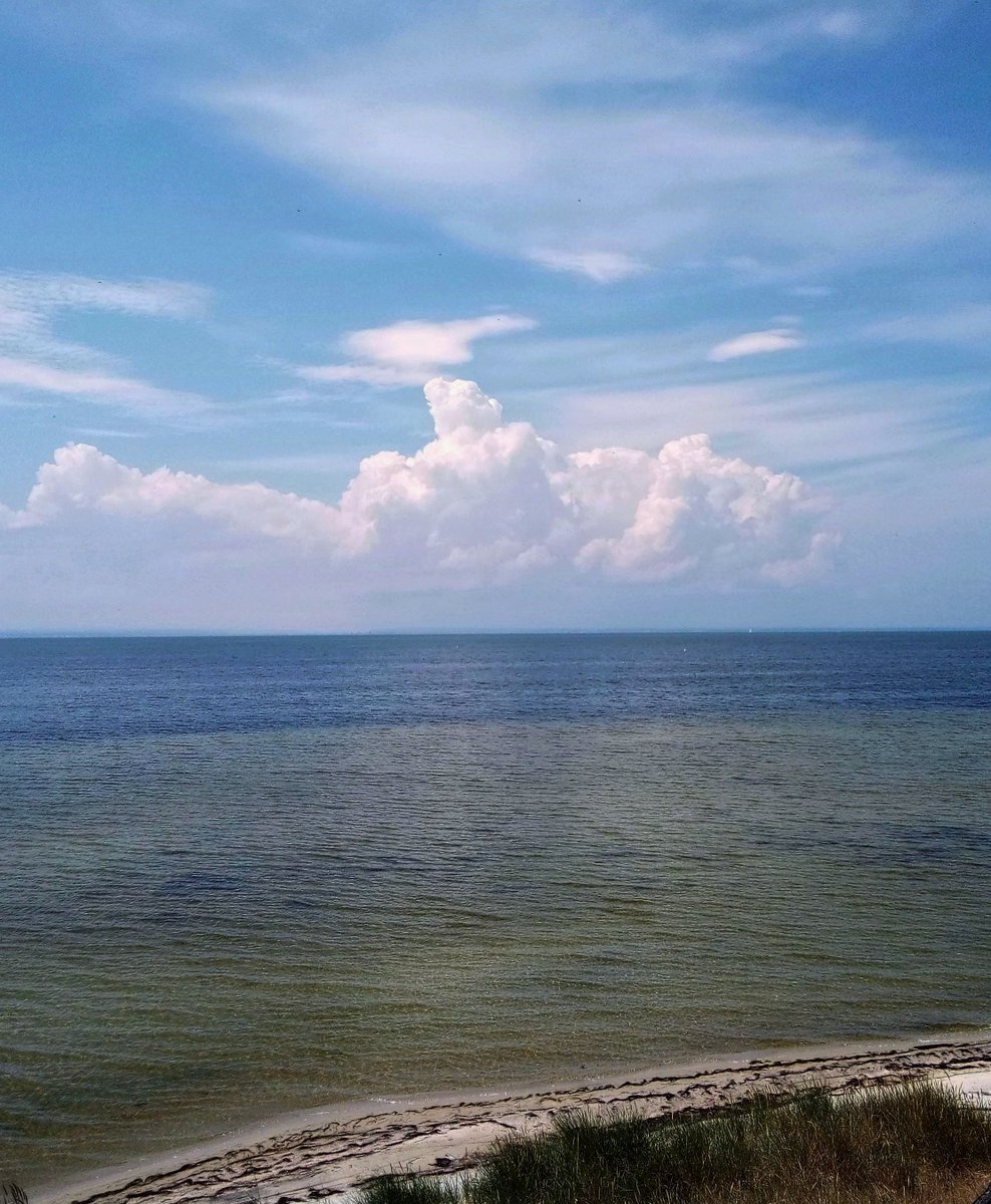 Jarosław tweet media