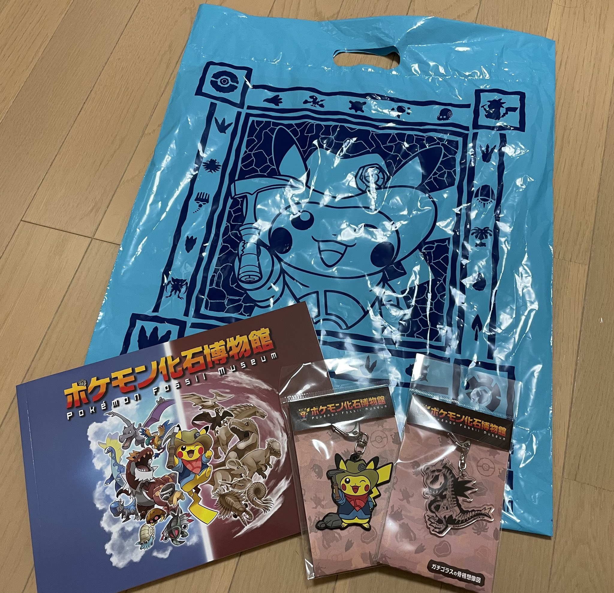 新品即決 新品未使用 ポケモン化石博物館図録 2冊セット 21福袋 Motouring Cl 新品即決 新品未使用 ポケモン化石博物館図録 2冊セット 21福袋 Motouring Cl