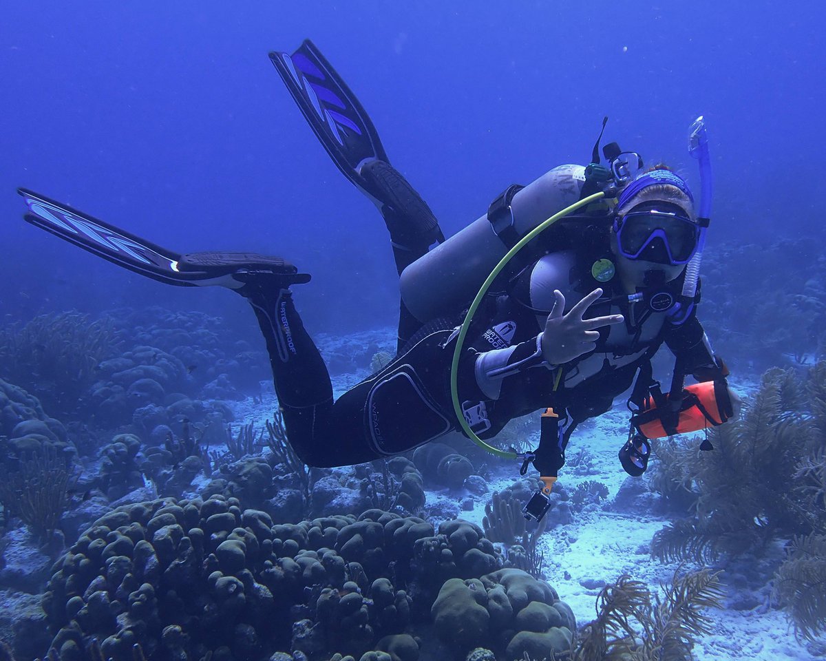 coralecoguy's tweet photo. Lena is an @floridastate undergrad majoring in Biology with a Marine Biology focus. She joined the Undergraduate Research Opportunities Program at FSU her freshman year and began working in Dr. McCoy’s (@MarEcology) lab. 1/3 https://t.co/mbRDq8Cgbh