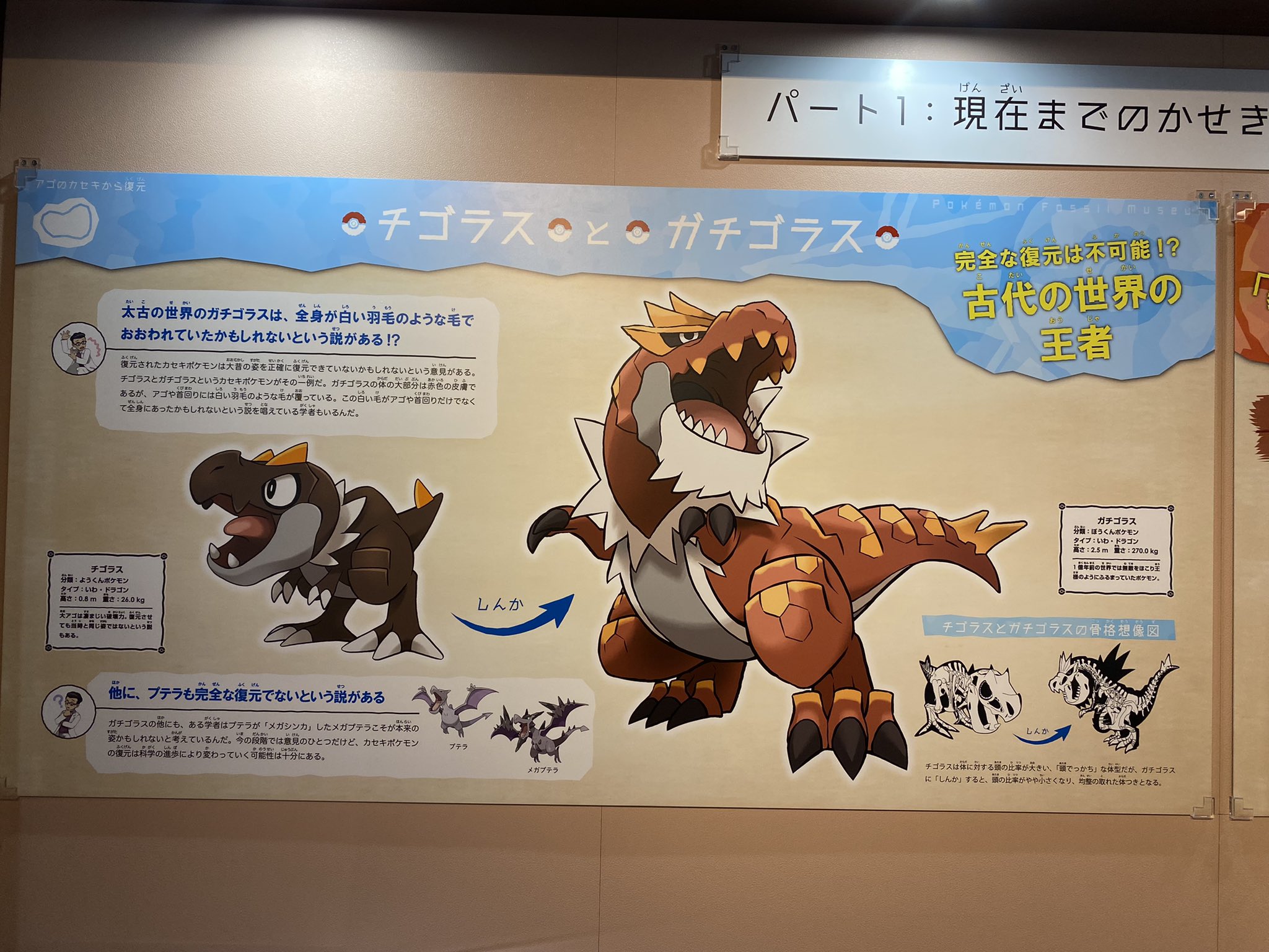 Twitter 上的 Taturo W ガチゴラス ポケモン化石博物館 T Co Wz5qnypbrh Twitter