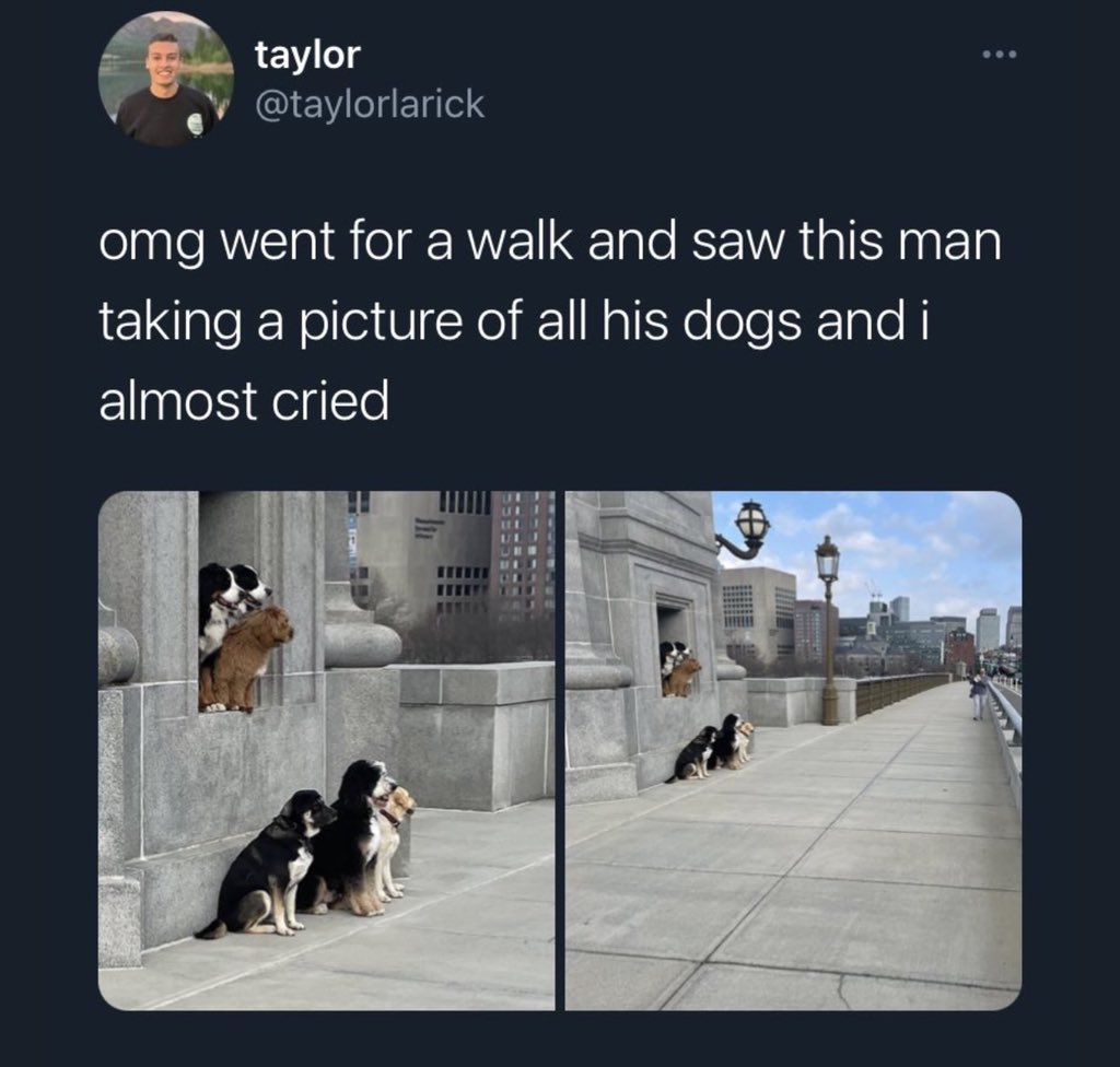 Dudes Posting Their W’s tweet media